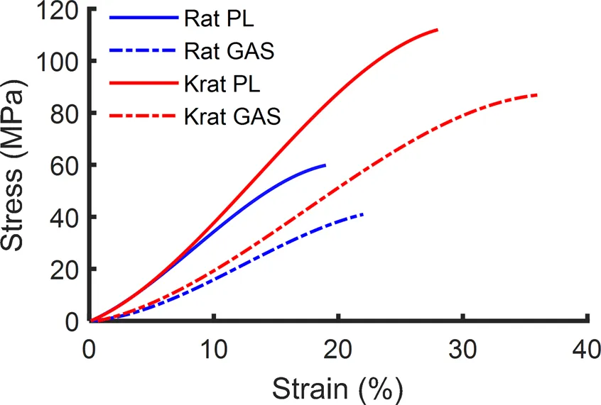 Soil Stress-Strain Image